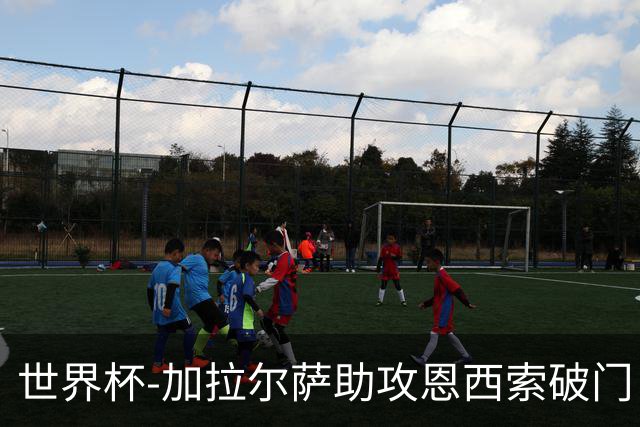 世界杯-加拉尔萨助攻恩西索破门 德国半场暂0-1巴拉圭