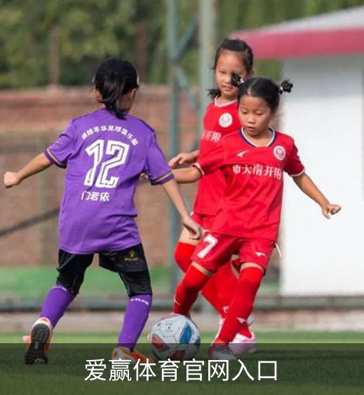 关于爱赢体育官网入口